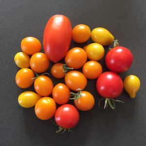 Gemüseplanung - Tomaten